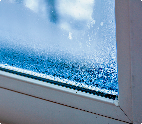 traitement d'humidit&eacute; en Bretagne